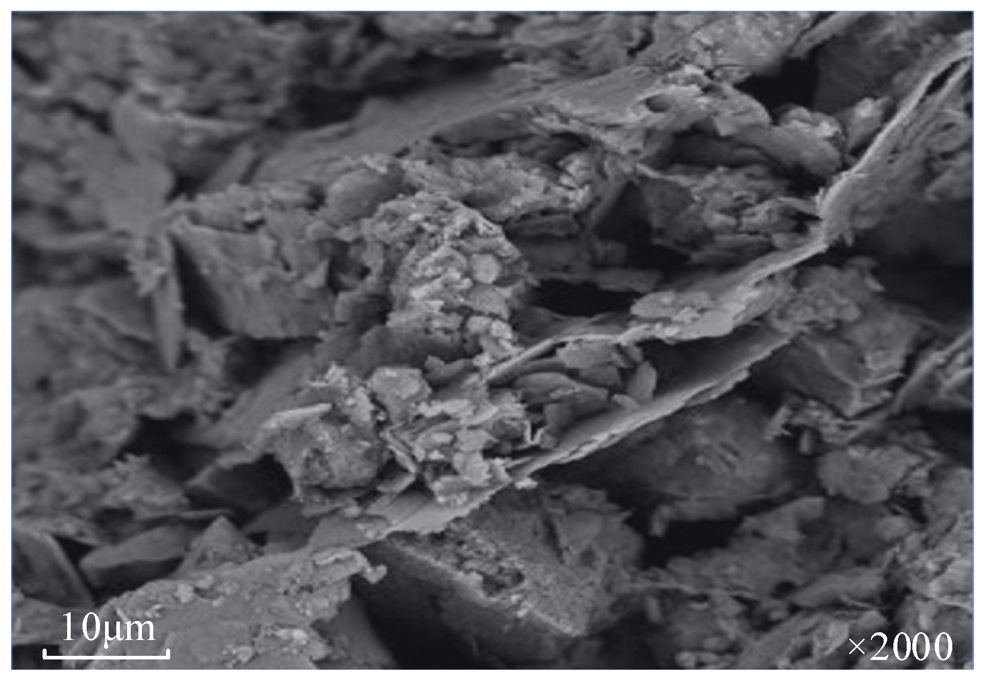 Applsci 13 04733 g002