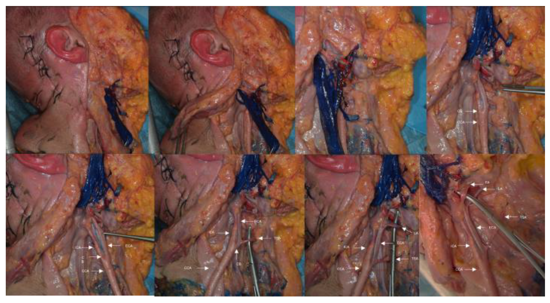 Applsci 13 04737 g001