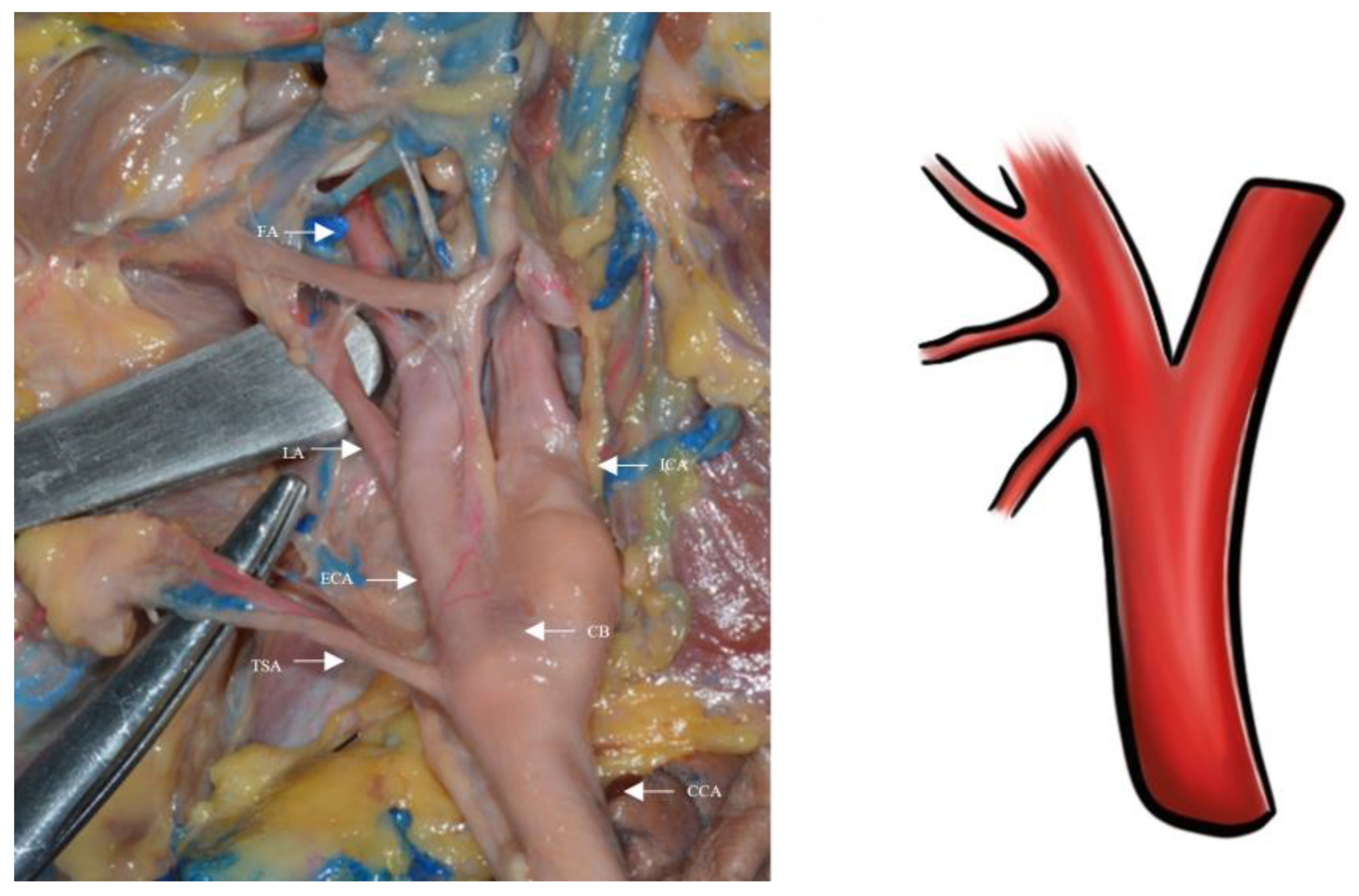 Applsci 13 04737 g002