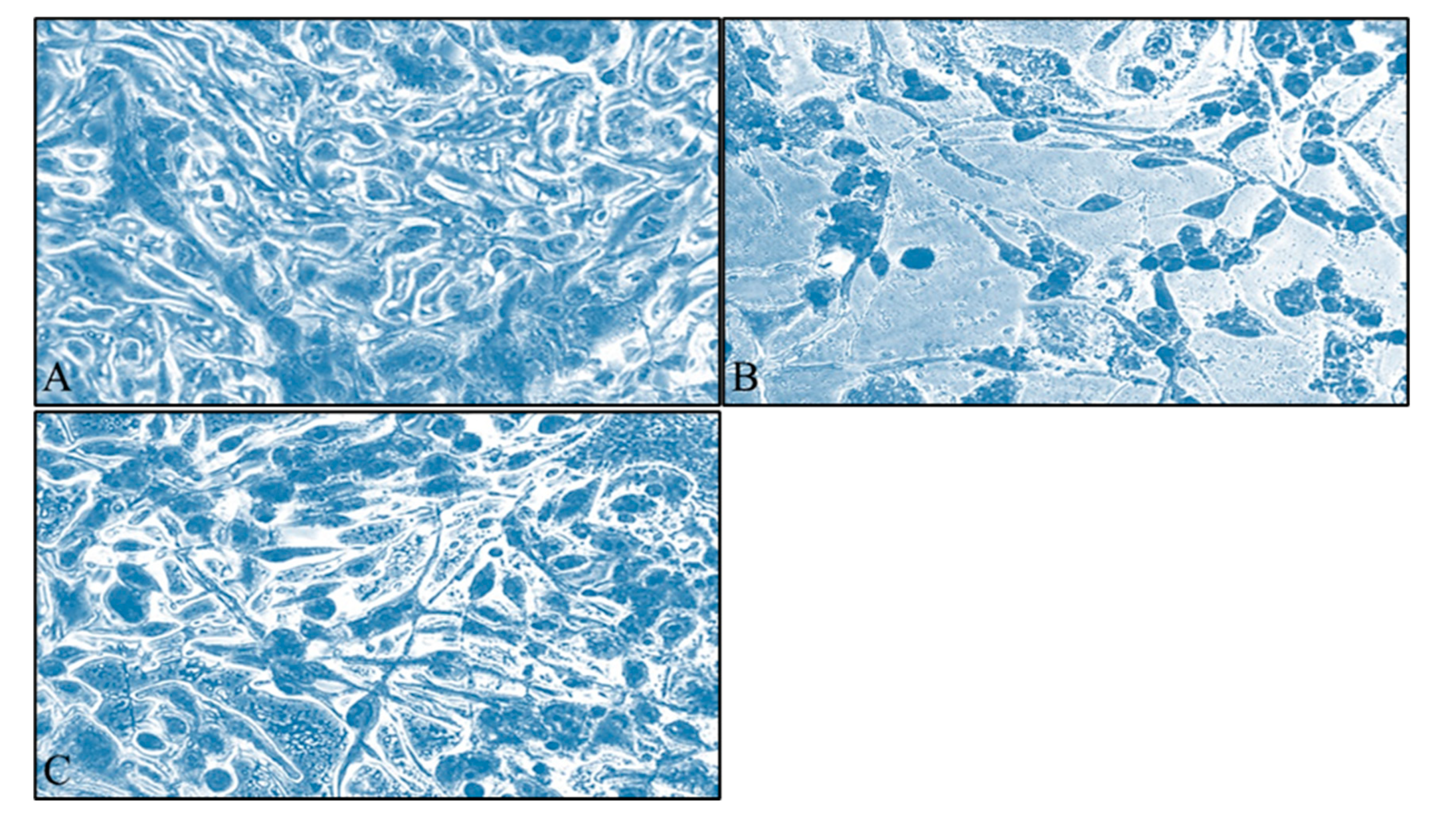 Applsci 13 04784 g002