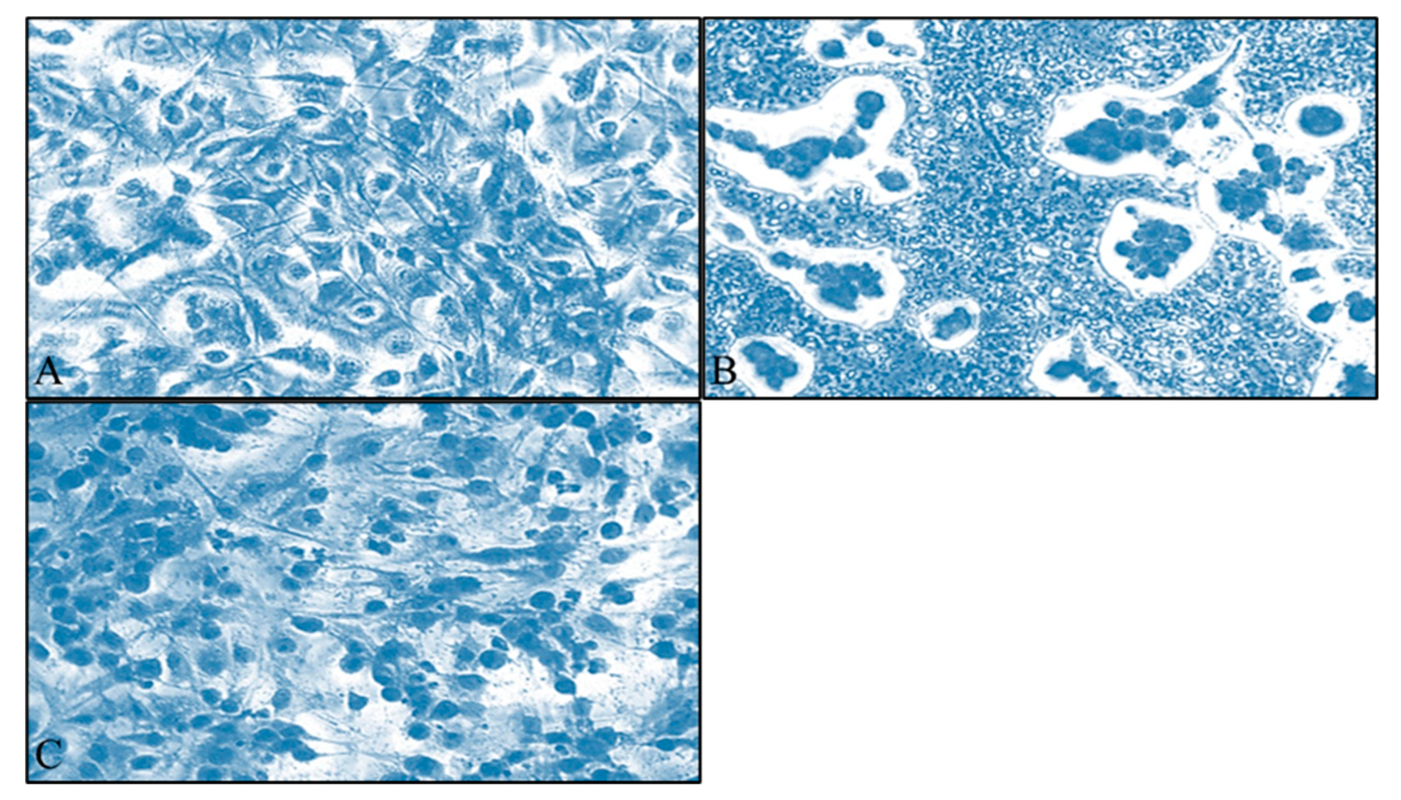 Applsci 13 04784 g003