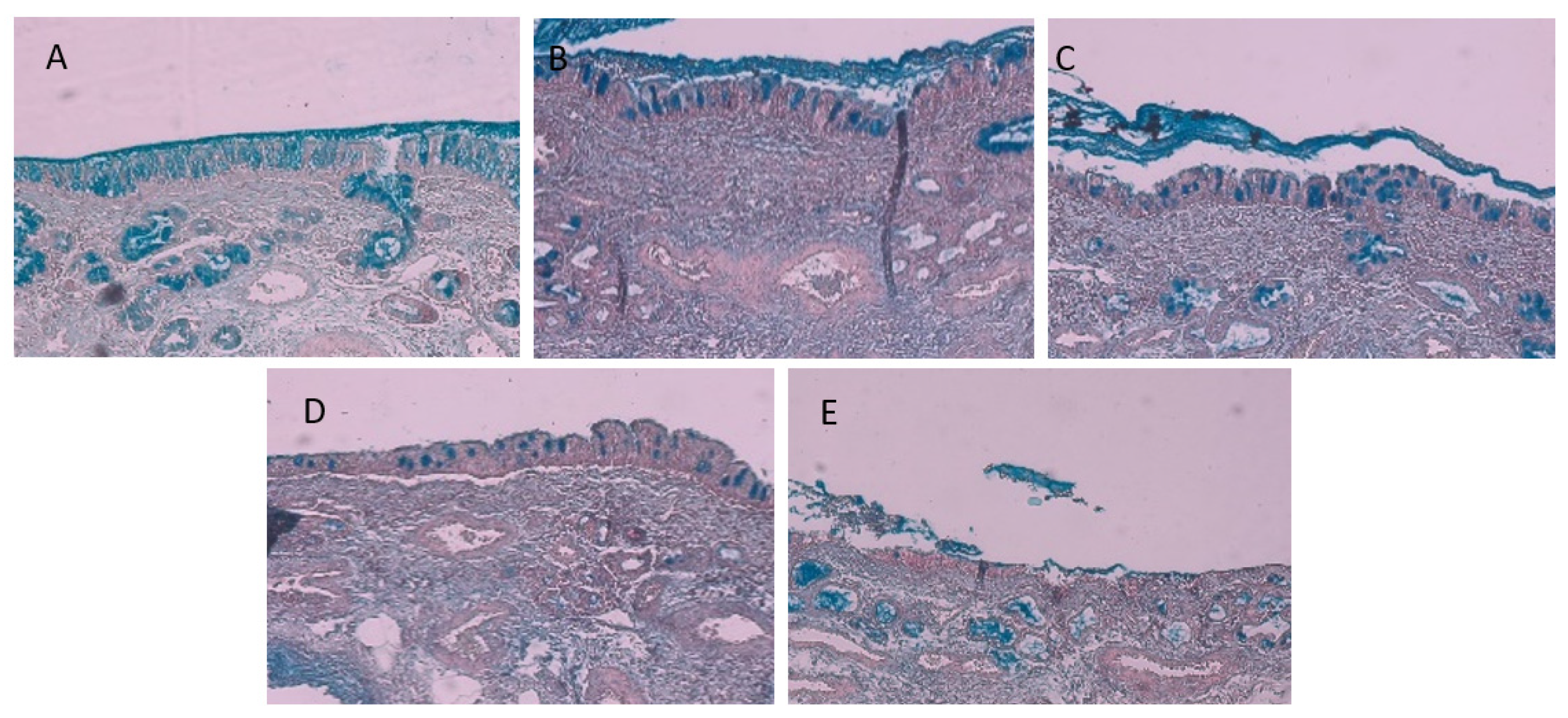 Applsci 13 04822 g005