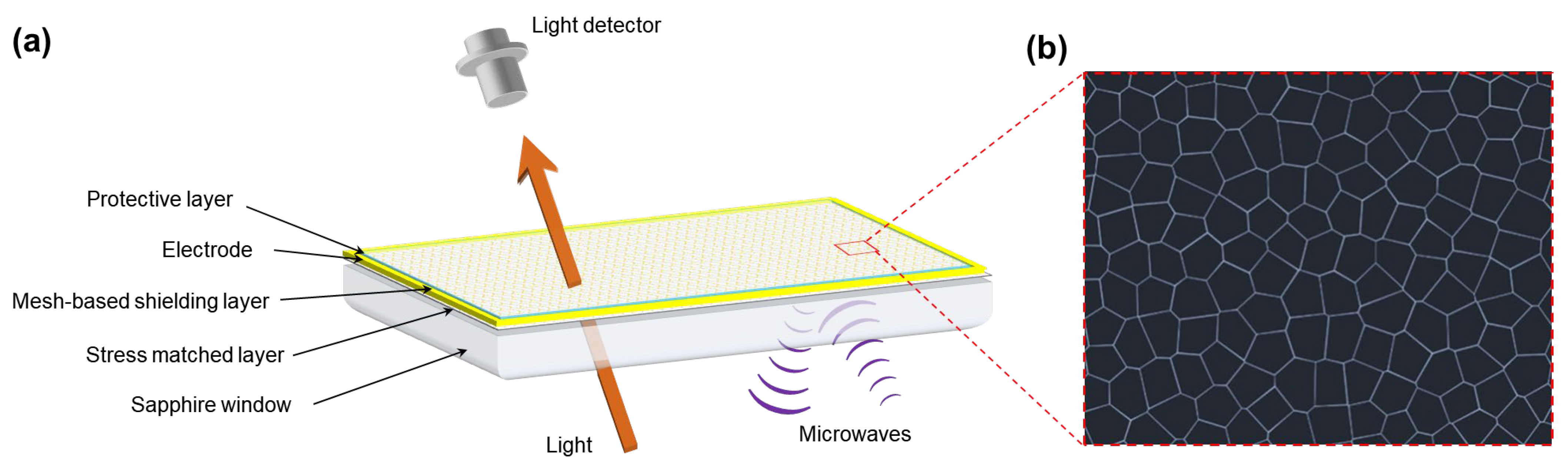 Applsci 13 04846 g001 Applsci 13 04846 g001