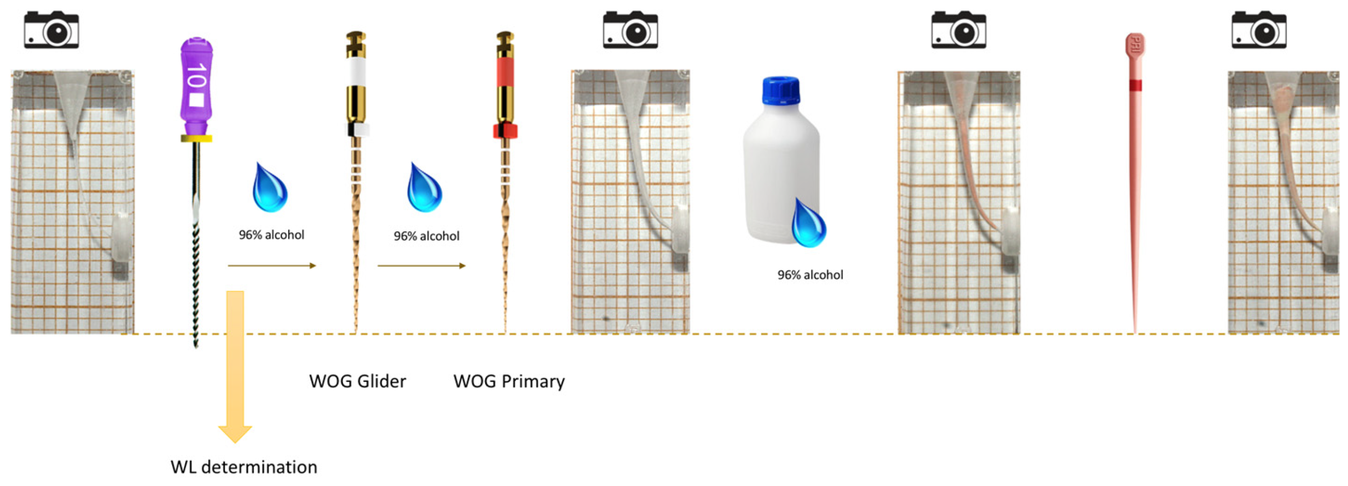 Applsci 13 04848 g001