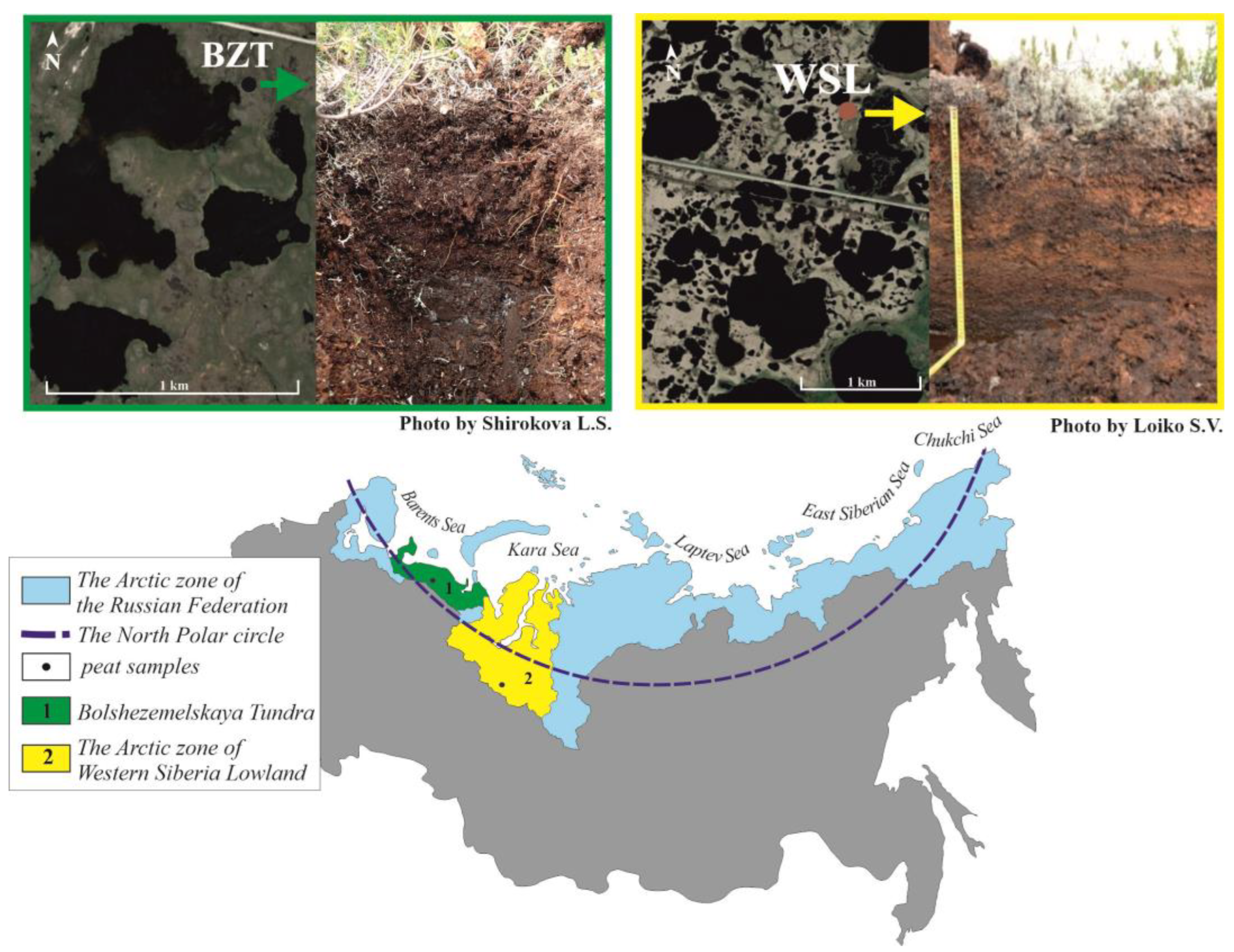 Applsci 13 04856 g001