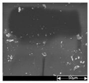 Applsci 13 04875 i001 Applsci 13 04875 i001