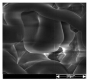 Applsci 13 04875 i002 Applsci 13 04875 i002