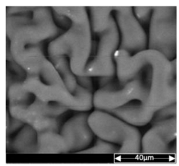 Applsci 13 04875 i003 Applsci 13 04875 i003