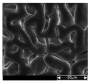 Applsci 13 04875 i004 Applsci 13 04875 i004