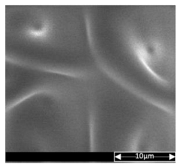 Applsci 13 04875 i005 Applsci 13 04875 i005