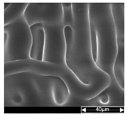 Applsci 13 04875 i006 Applsci 13 04875 i006