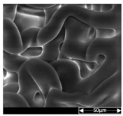 Applsci 13 04875 i007 Applsci 13 04875 i007