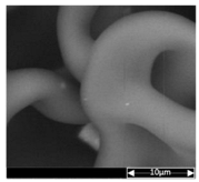 Applsci 13 04875 i008 Applsci 13 04875 i008