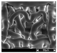 Applsci 13 04875 i010 Applsci 13 04875 i010