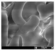 Applsci 13 04875 i011 Applsci 13 04875 i011