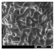 Applsci 13 04875 i013 Applsci 13 04875 i013