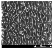 Applsci 13 04875 i014 Applsci 13 04875 i014