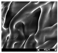 Applsci 13 04875 i015 Applsci 13 04875 i015