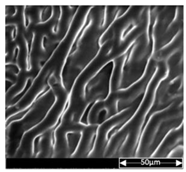 Applsci 13 04875 i016 Applsci 13 04875 i016