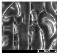 Applsci 13 04875 i017 Applsci 13 04875 i017