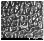 Applsci 13 04875 i018 Applsci 13 04875 i018