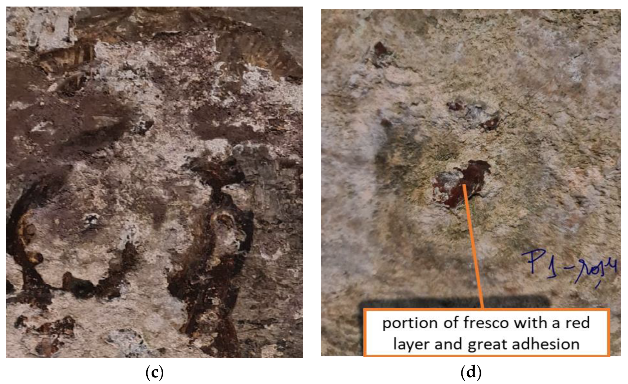 Applsci 13 04933 g001b