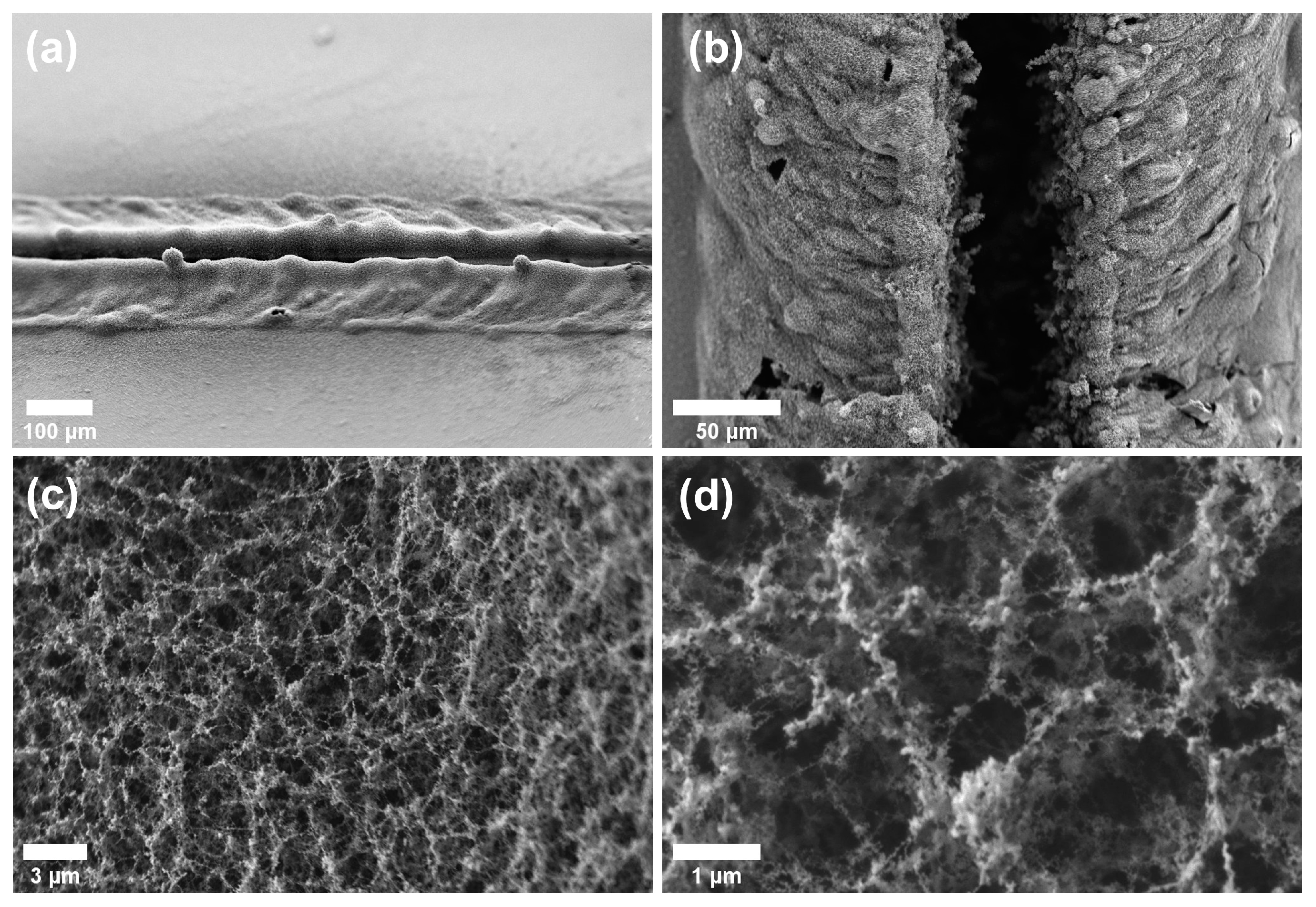 Applsci 13 04935 g002