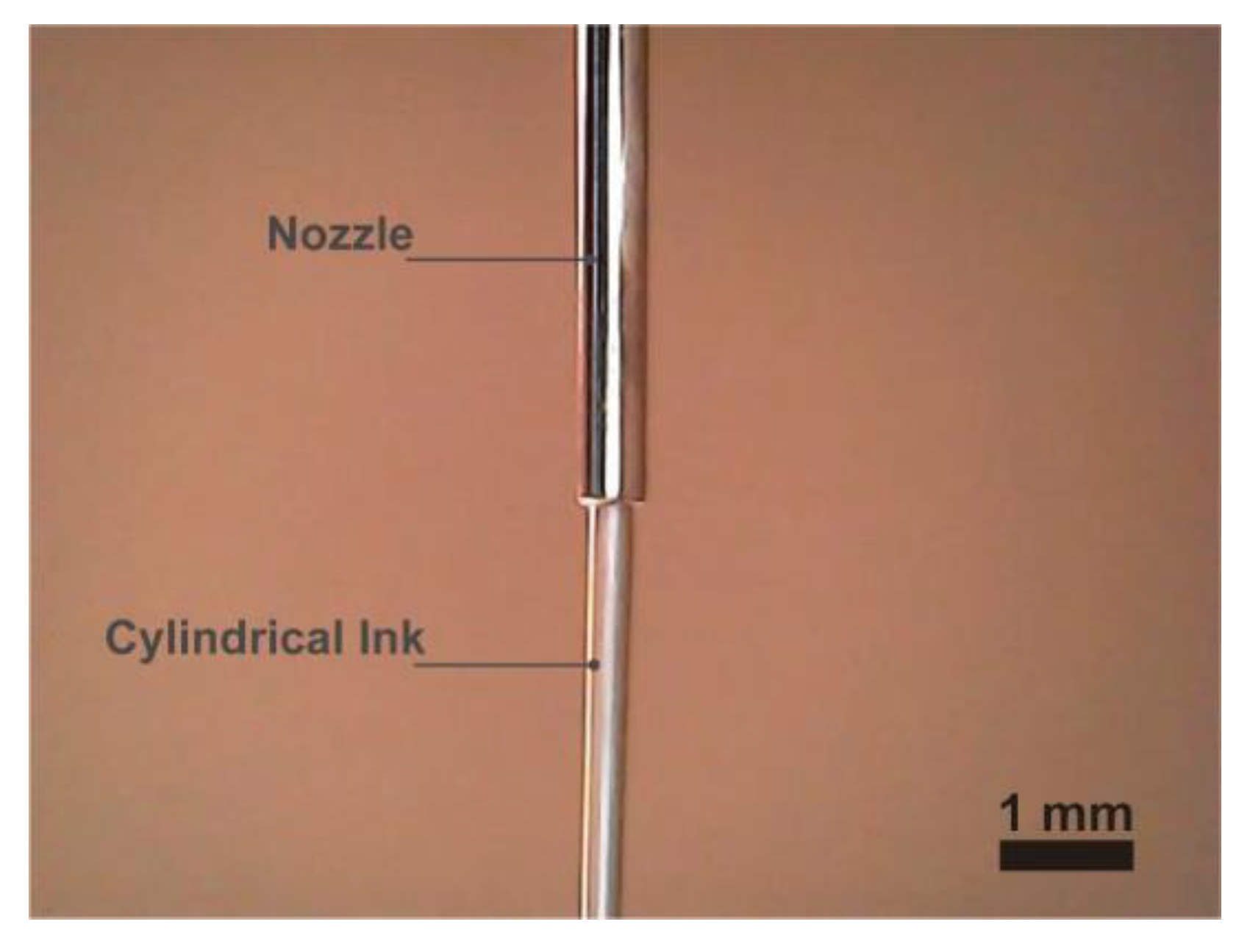 Applsci 13 04950 g001