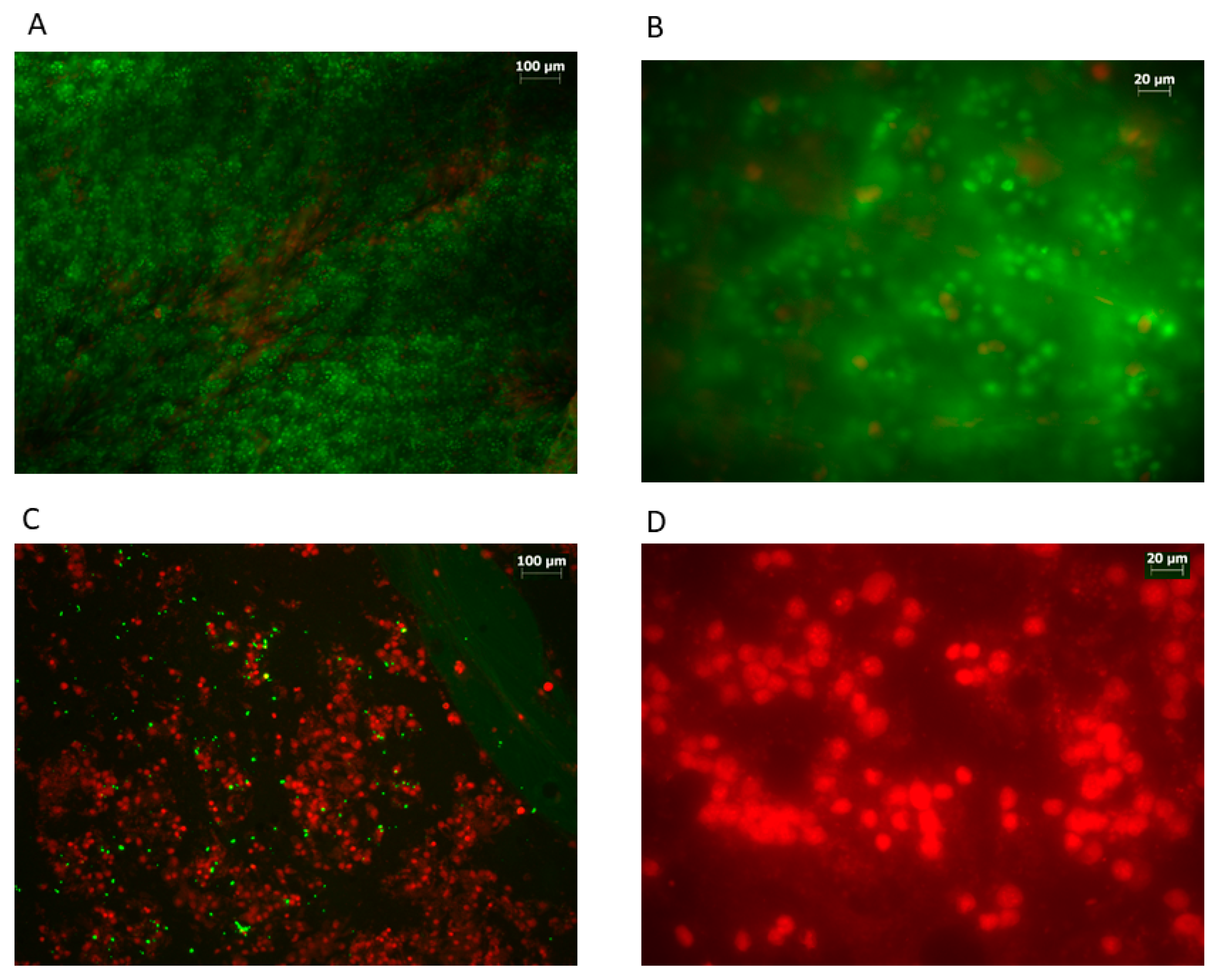 Applsci 13 04957 g001