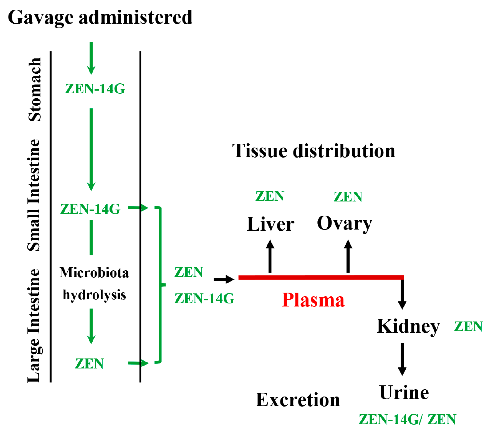 Applsci 13 04990 g006