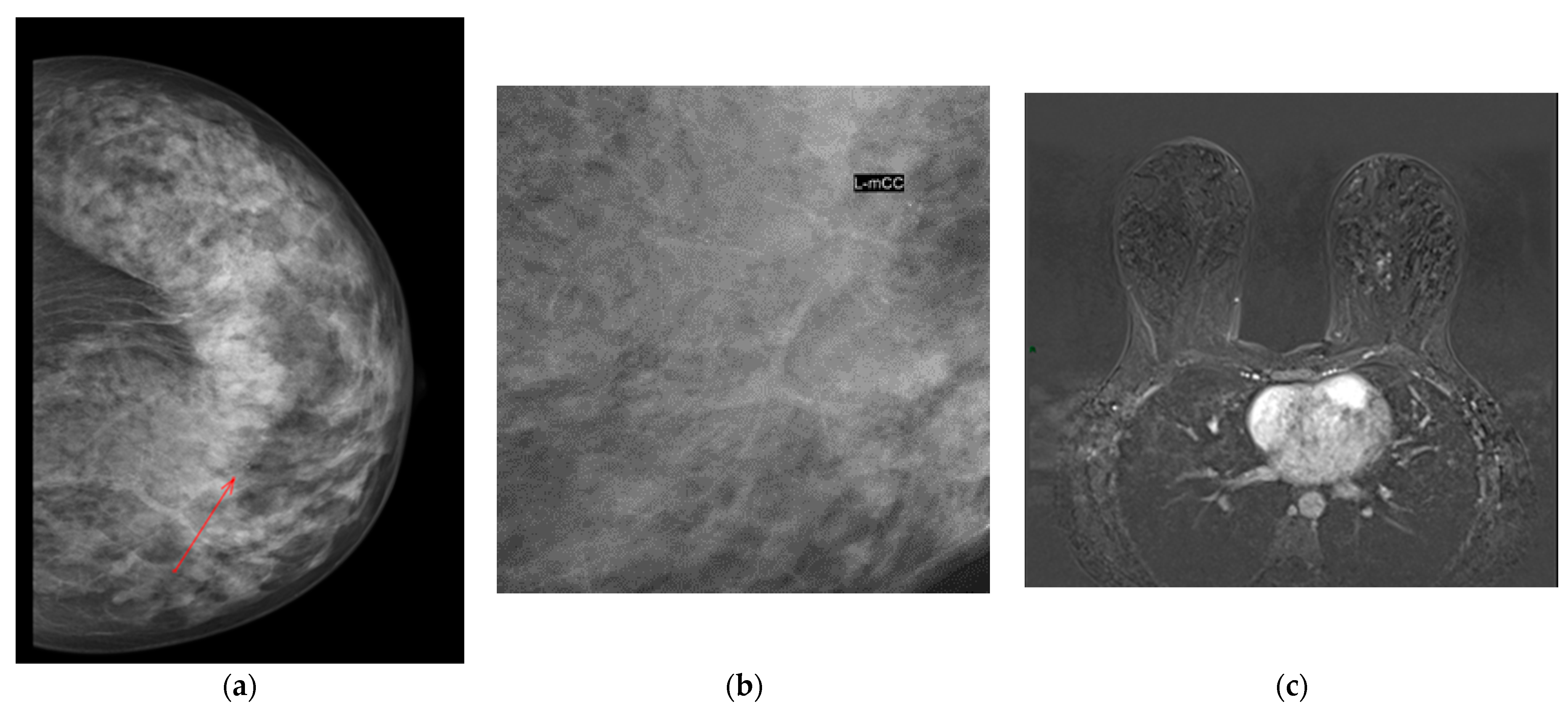 Applsci 13 04994 g001