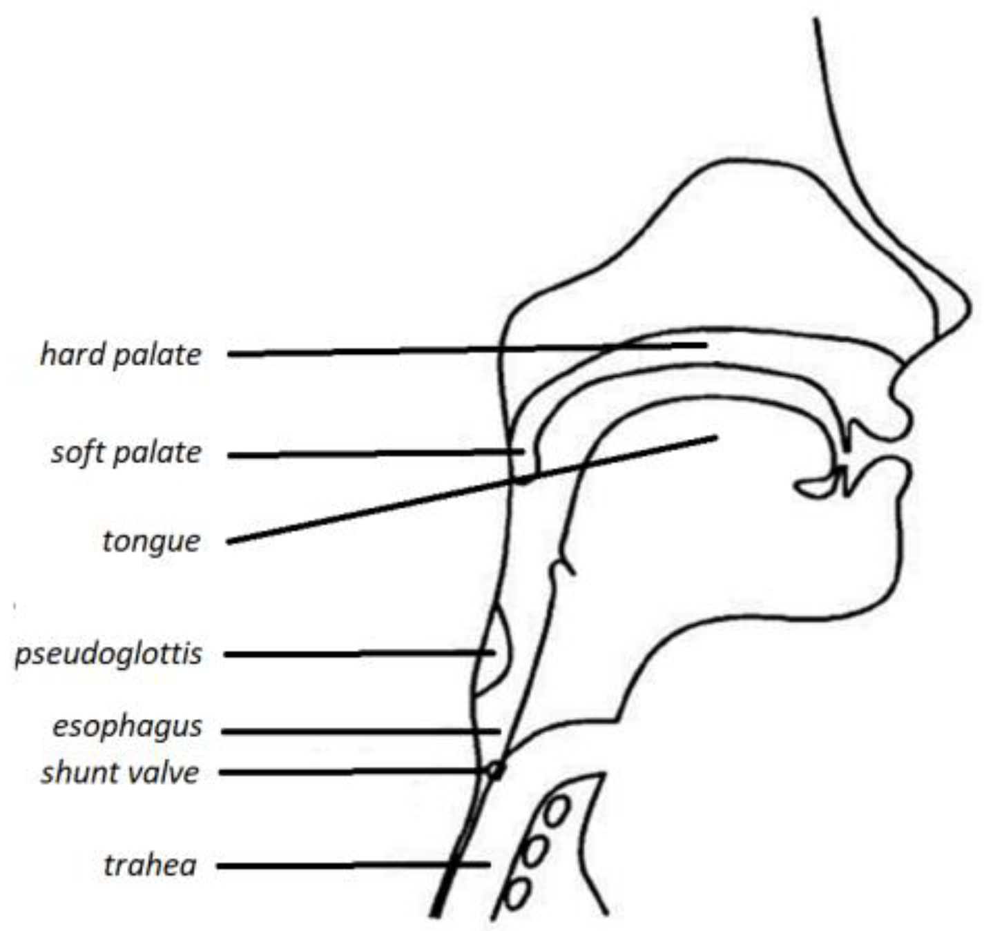 Applsci 13 04995 g001