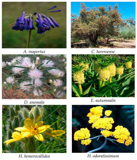 Applsci 13 05008 g004a