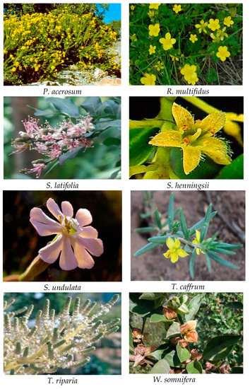 Applsci 13 05008 g004c