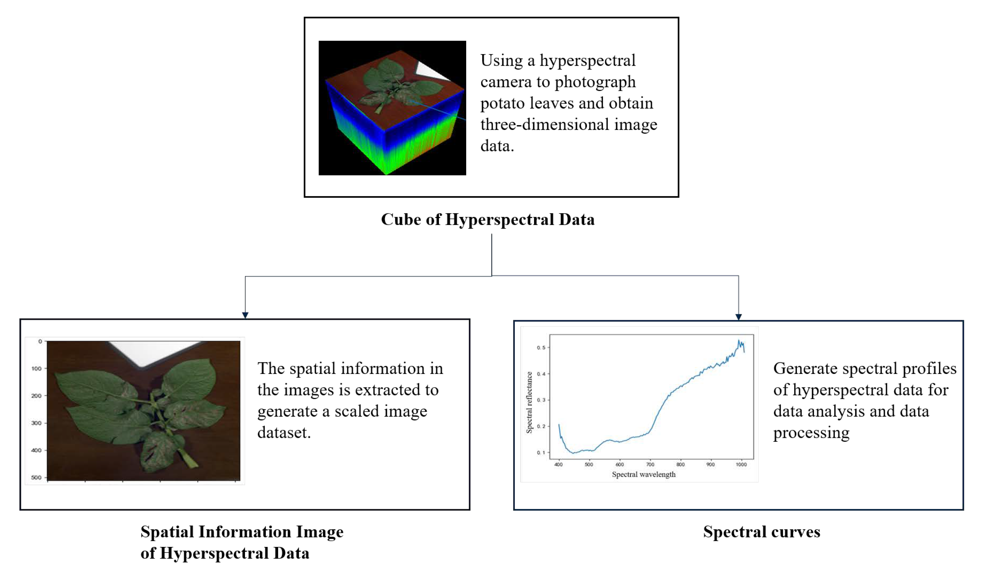 Applsci 13 05023 g001