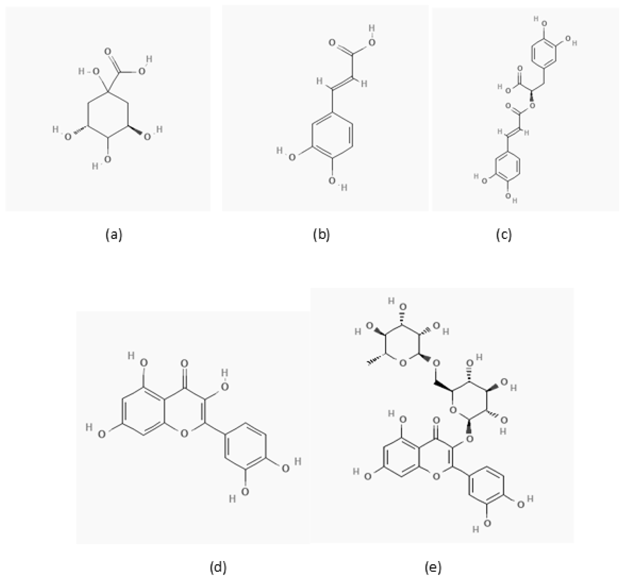 Applsci 13 05033 g001 Applsci 13 05033 g001