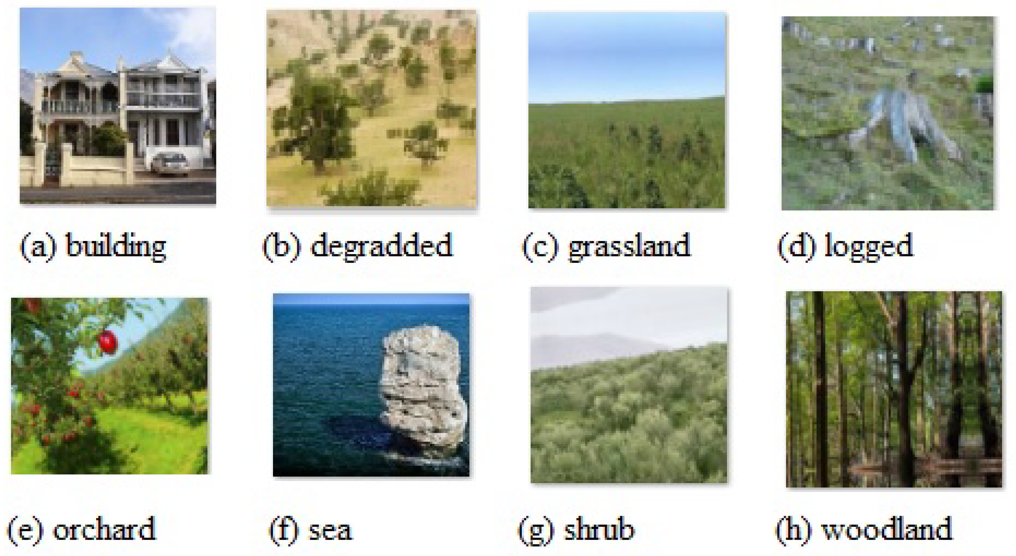 Applsci 13 05060 g001