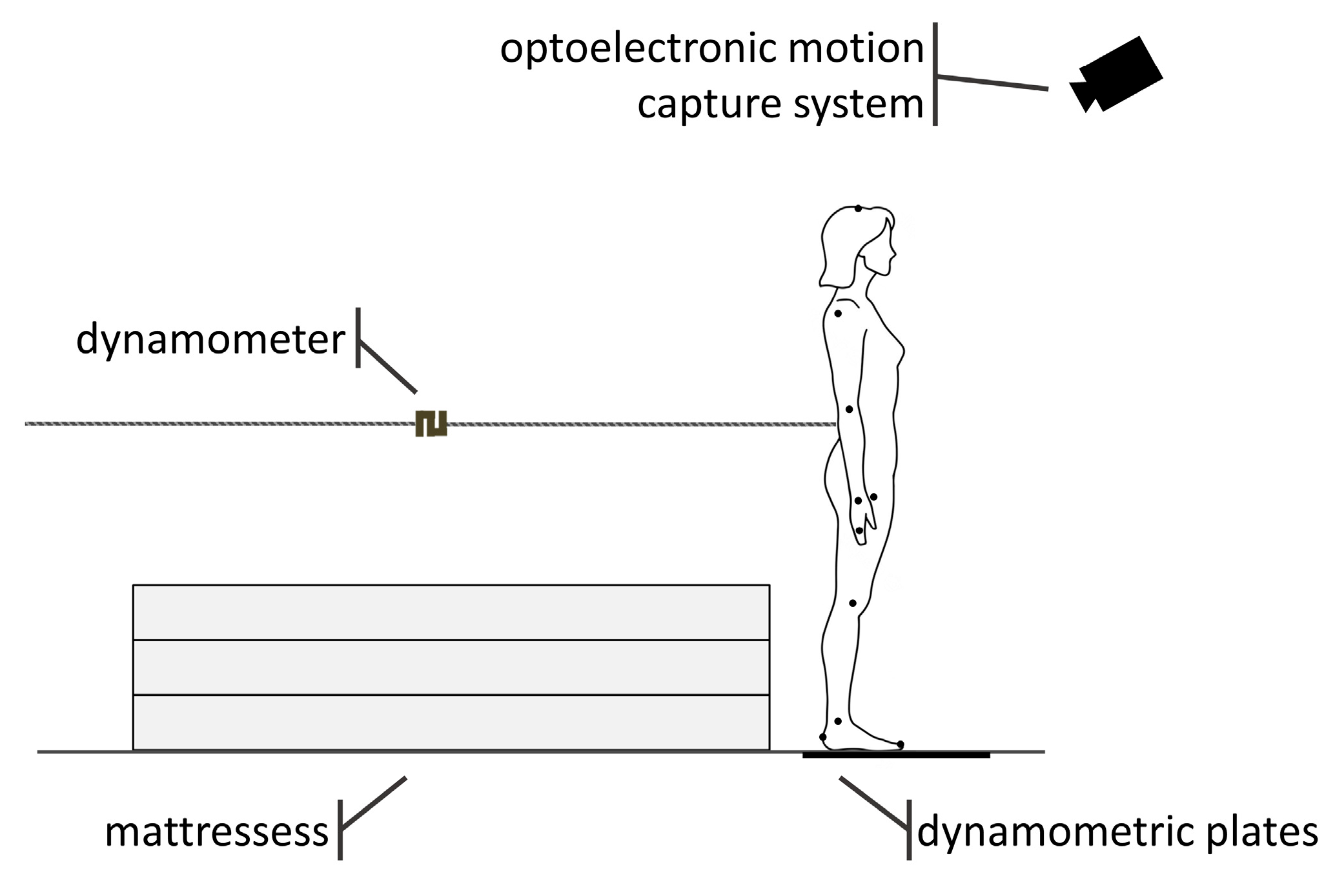 Applsci 13 05068 g001