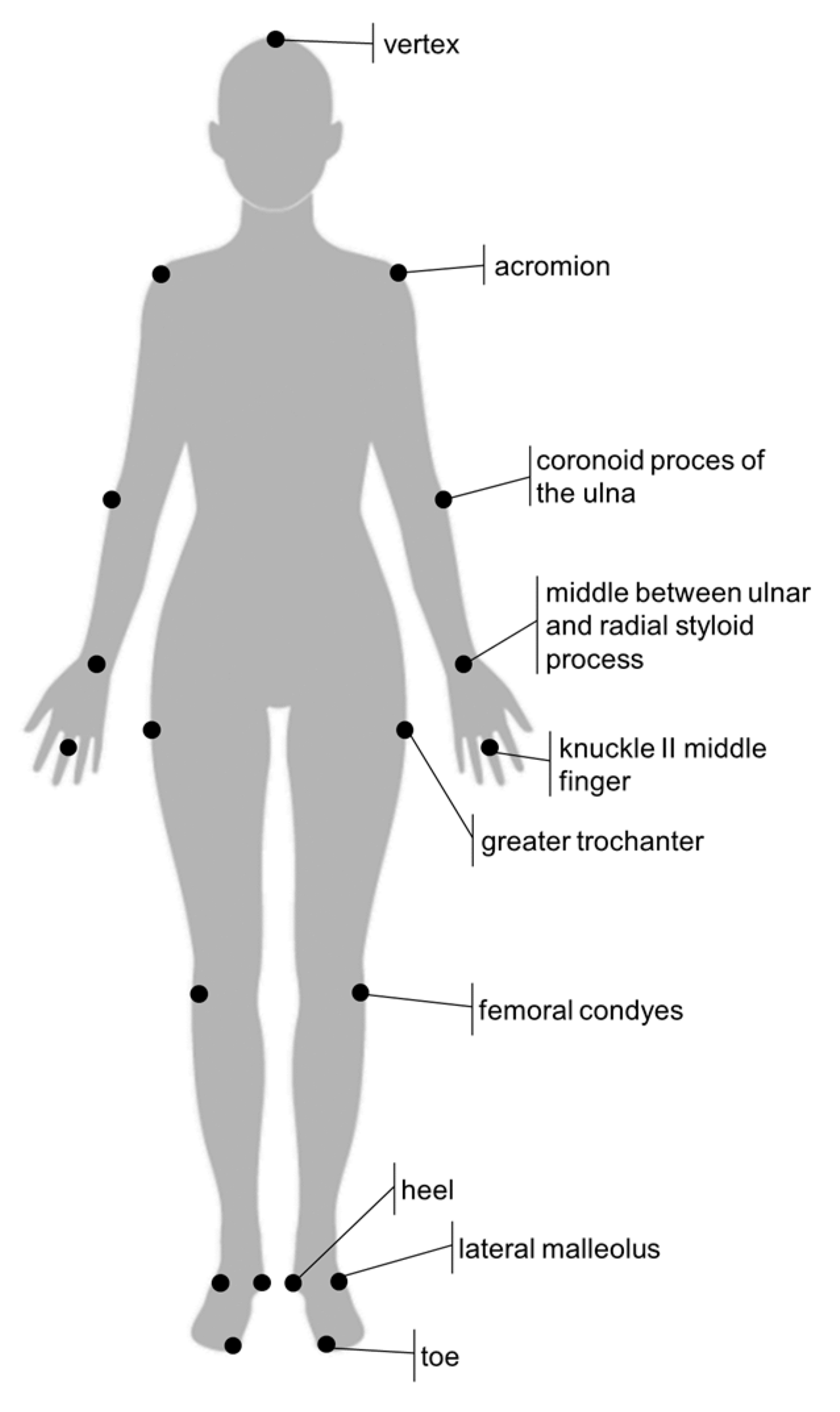 Applsci 13 05068 g002