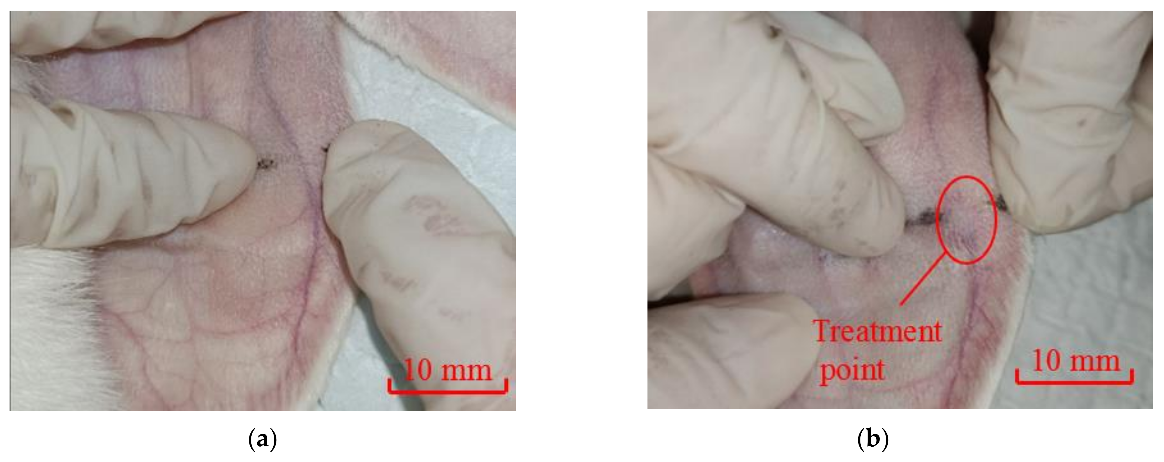 Applsci 13 05069 g012