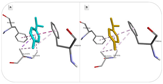 Applsci 13 05076 g004