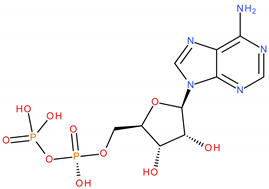 Applsci 13 05076 i003