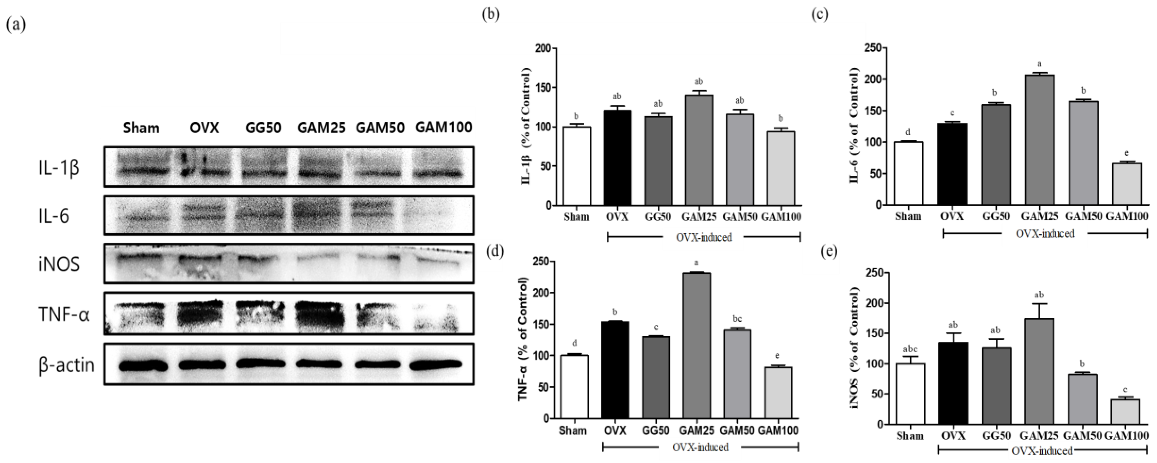 Applsci 13 05084 g003