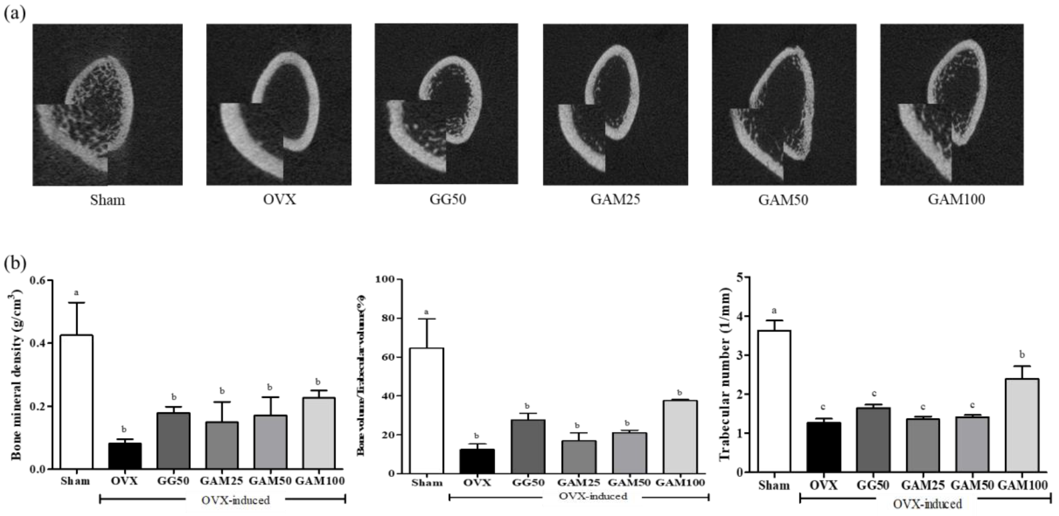 Applsci 13 05084 g004