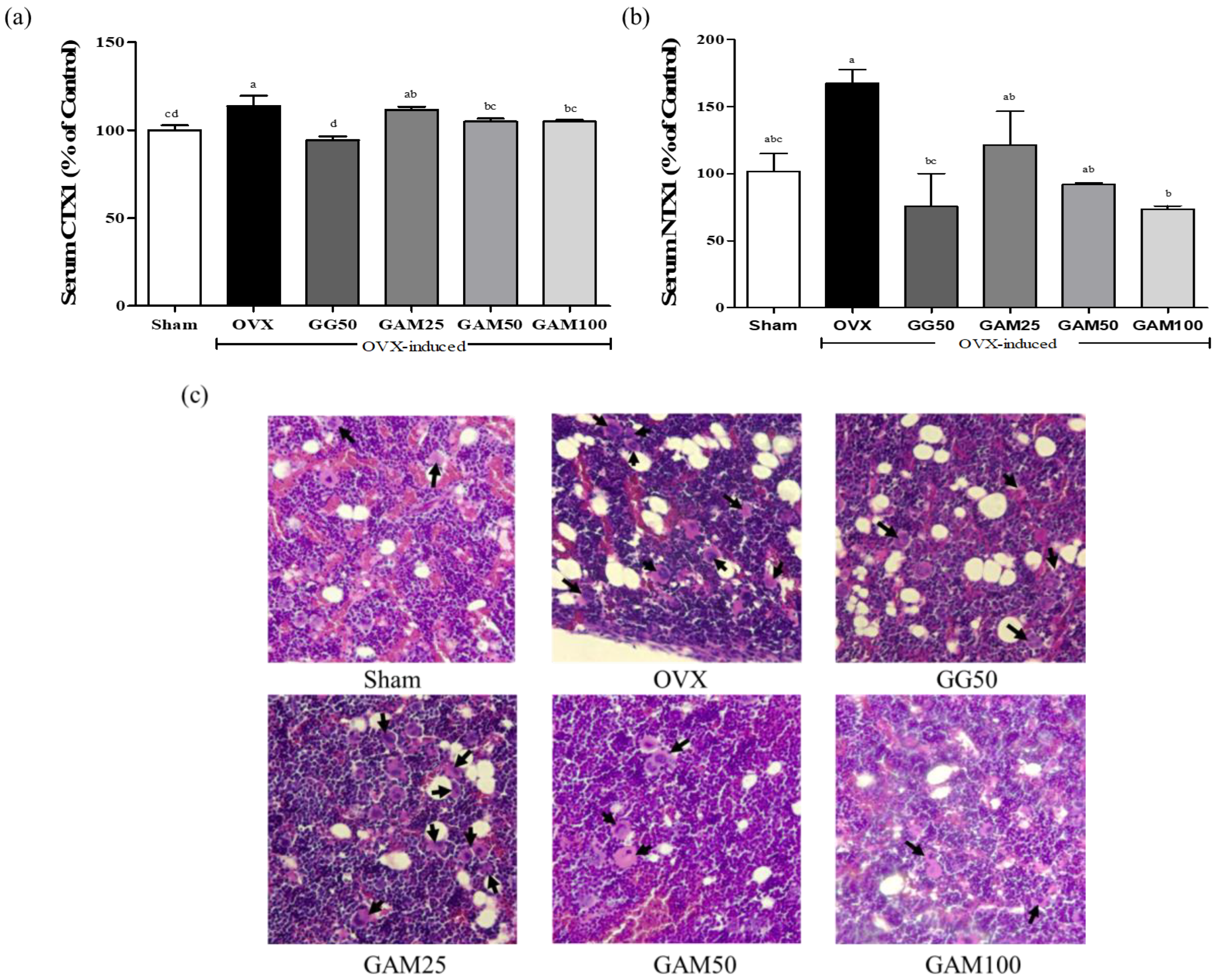 Applsci 13 05084 g006