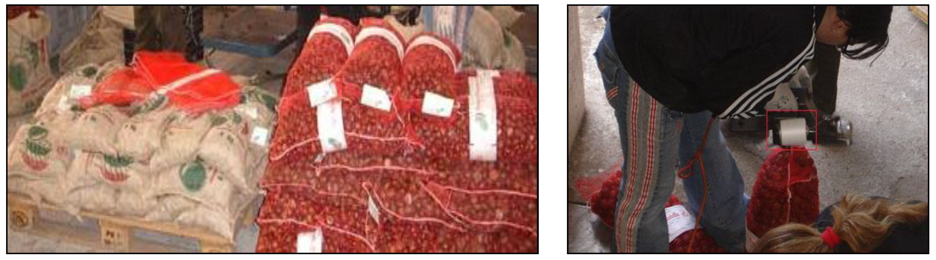 Applsci 13 05086 g005