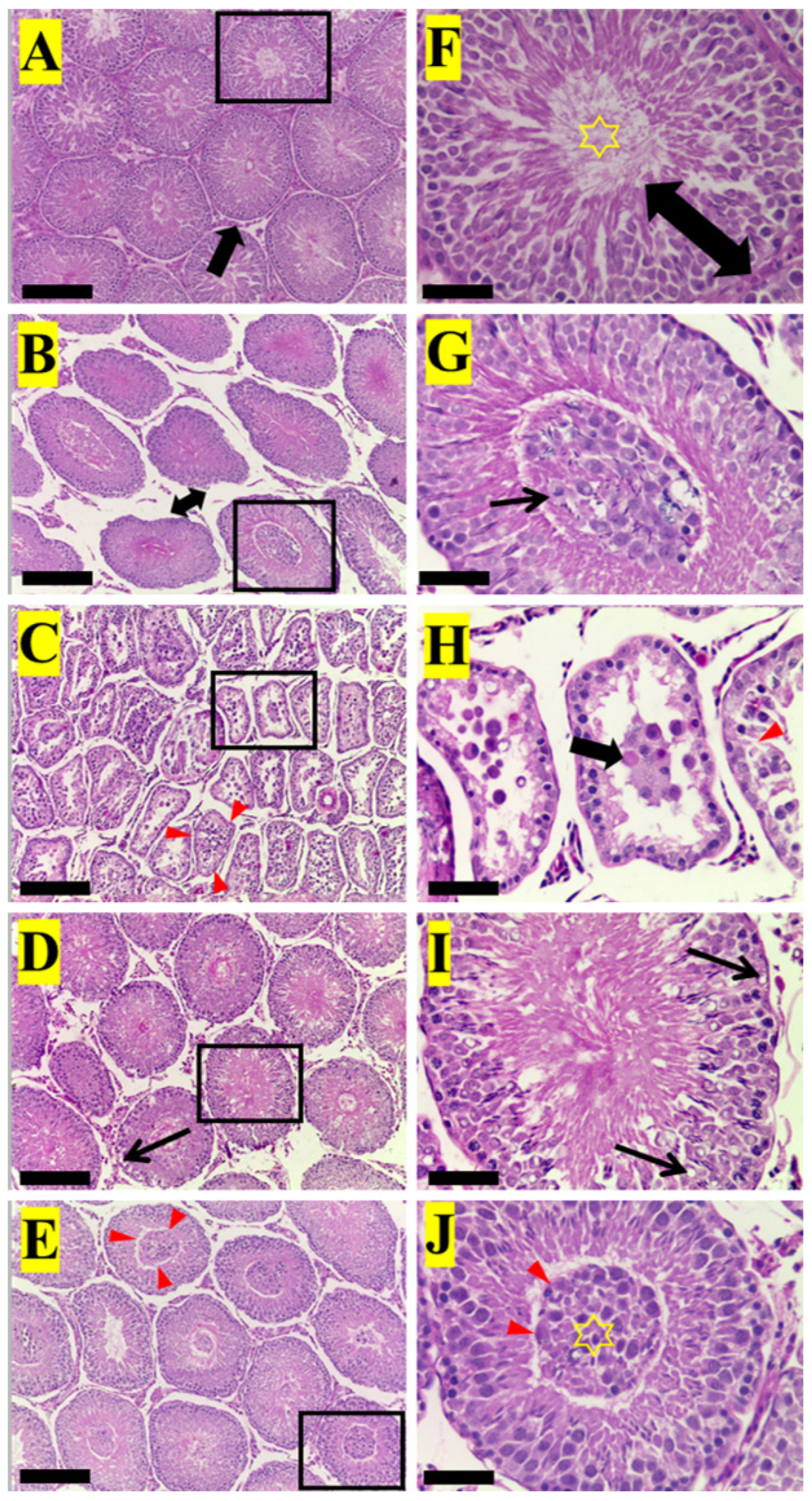 Applsci 13 05096 g002