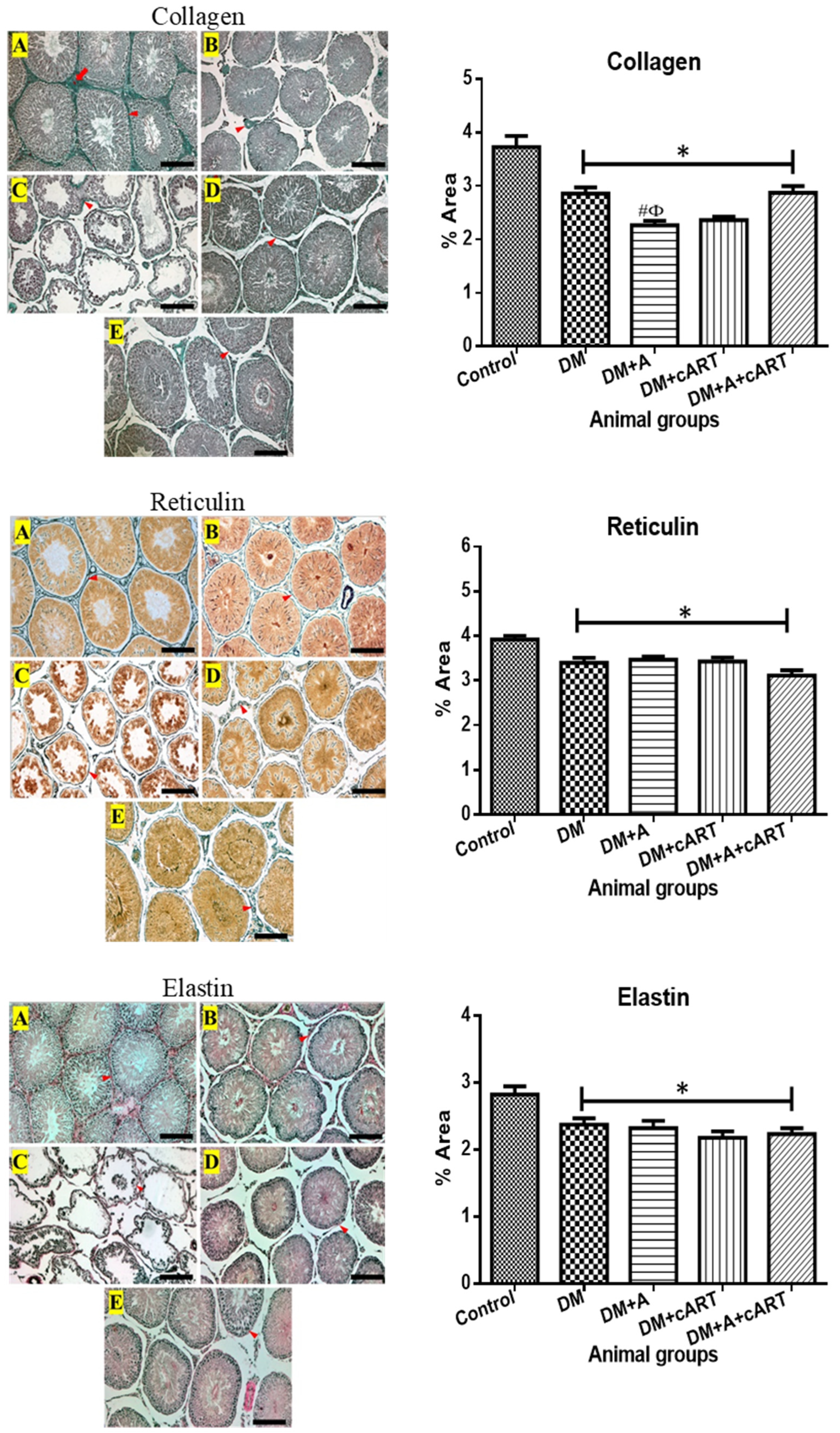 Applsci 13 05096 g004