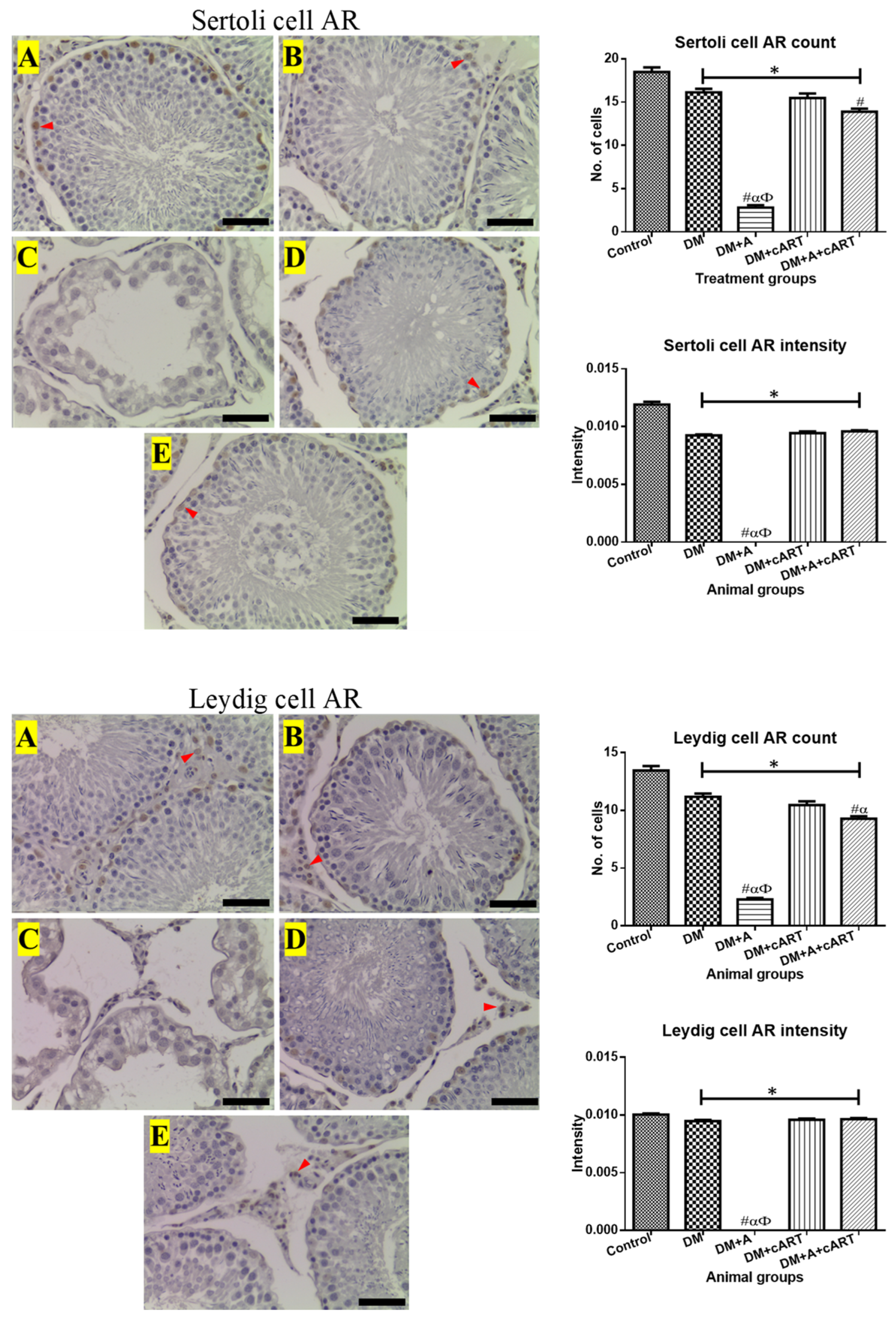 Applsci 13 05096 g006