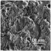 Applsci 13 05148 i002 Applsci 13 05148 i002